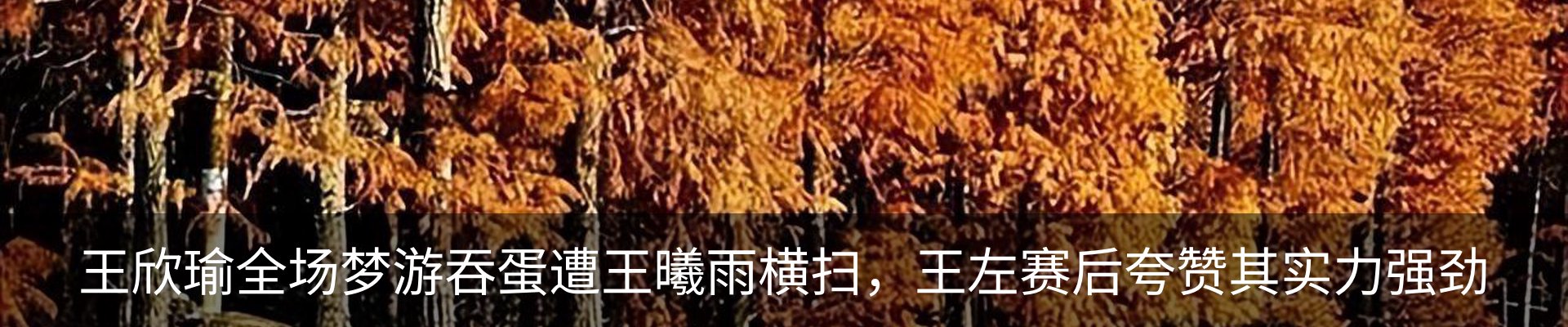 内页banner